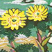 Masaya Watabe Gallery